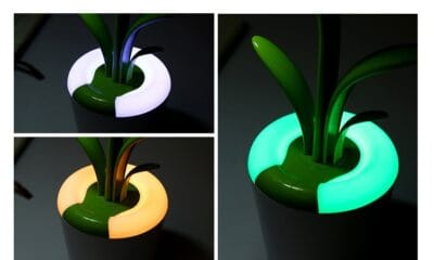 Modern Lights - Image 7