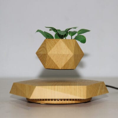 Flower Pot - Image 3