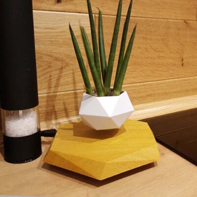 Flower Pot - Image 2