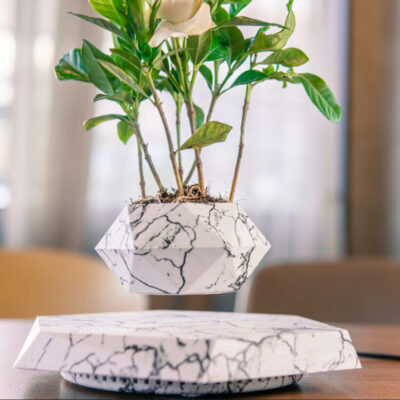 Flower Pot - Image 9