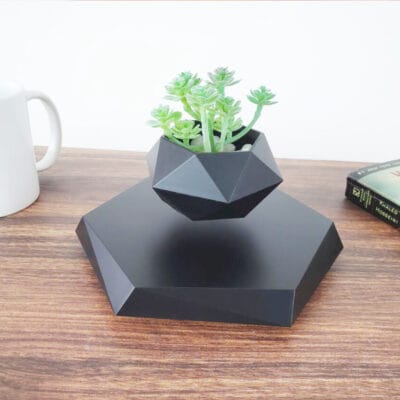Flower Pot