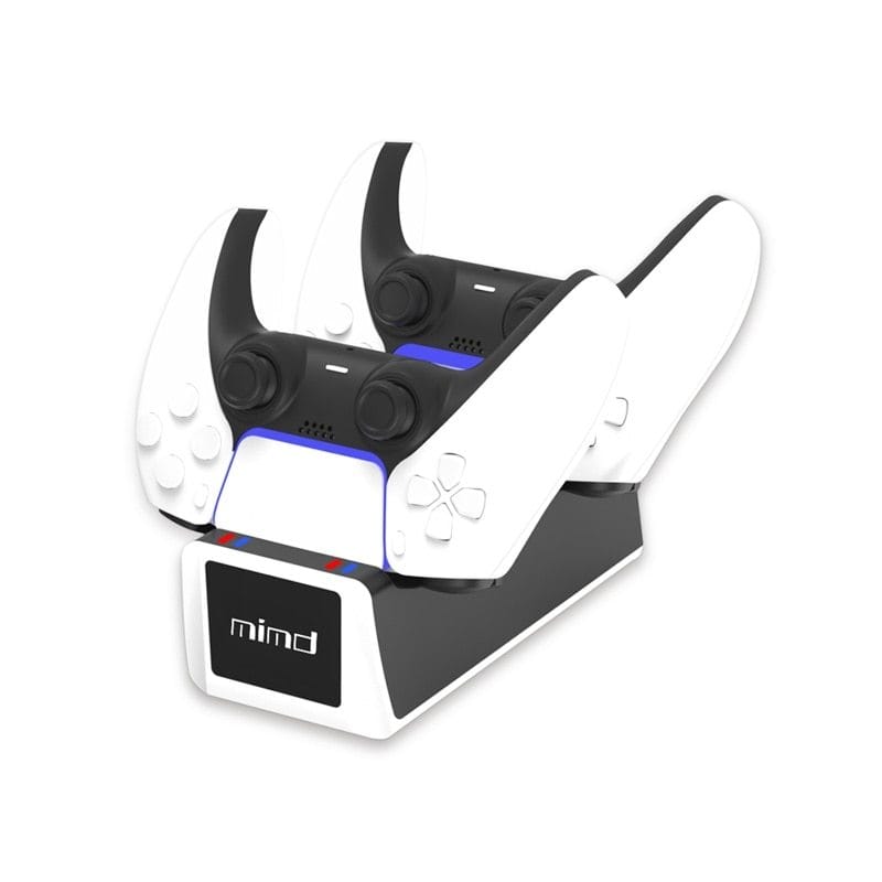 PS5 Controller Charger