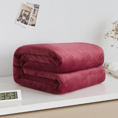 Flannel Sofa Blanket - Image 4