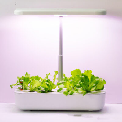 Indoor Garden