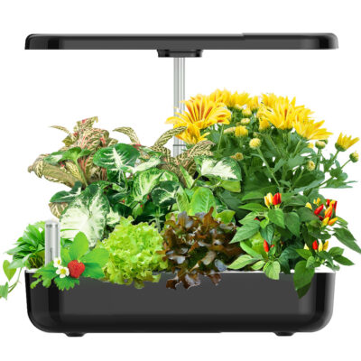 Indoor Garden - Image 4