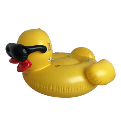 Pool Duck