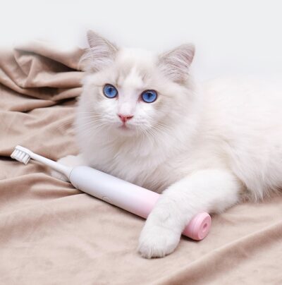 Electric Toothbrush - Image 10