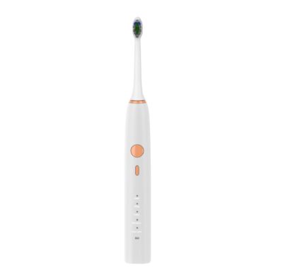 Fresh Mint Toothbrush