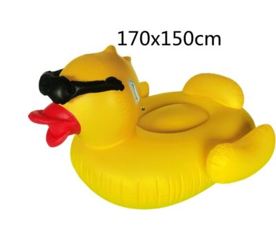 Pool Duck - Image 5