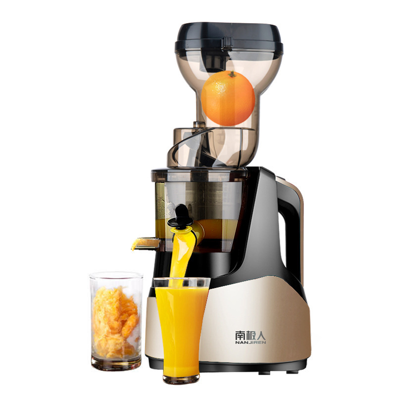 Electric Vegetable Juicer