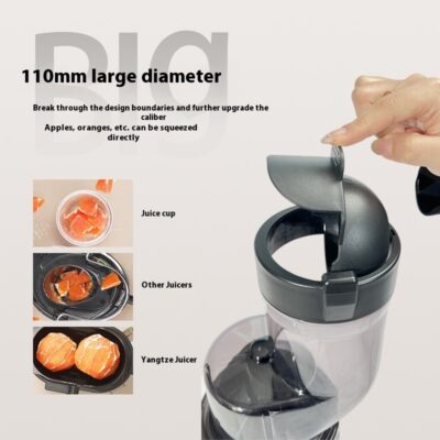 Fruit Electric Juicer - Image 6