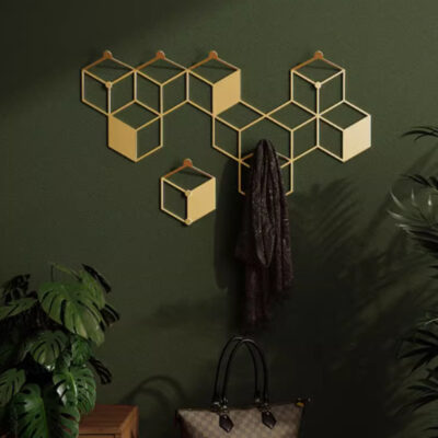 Wall Clothes Hanger