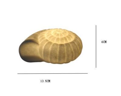 Conch Shell Light - Image 4