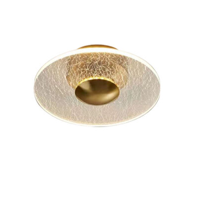 Plate Ceiling Light - Image 2