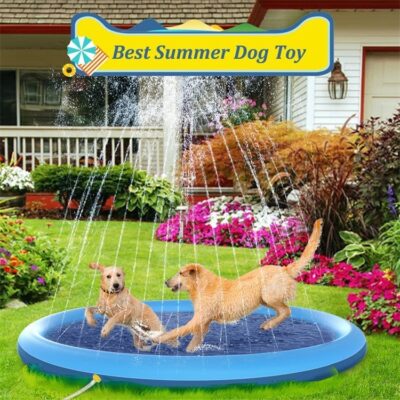 Splash Pad - Image 6