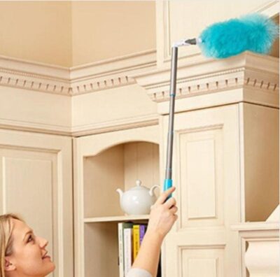 Spin Electric Duster