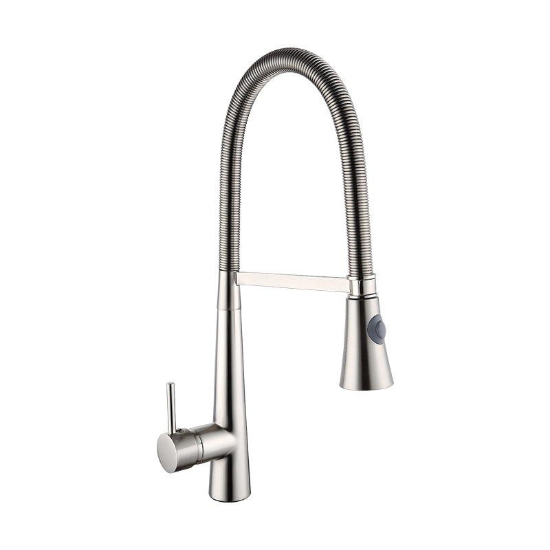 Fashion Kitchen Faucet